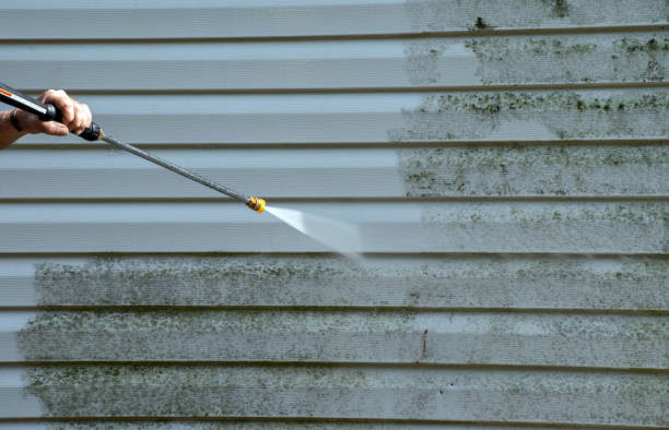 Animal Enclosure Cleaning in Halls, TN